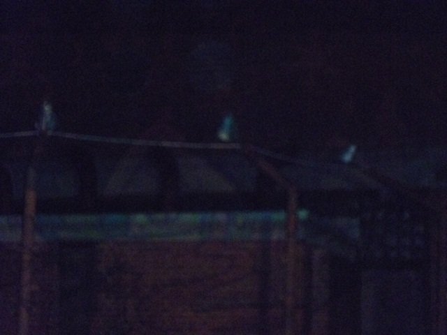 p1000311